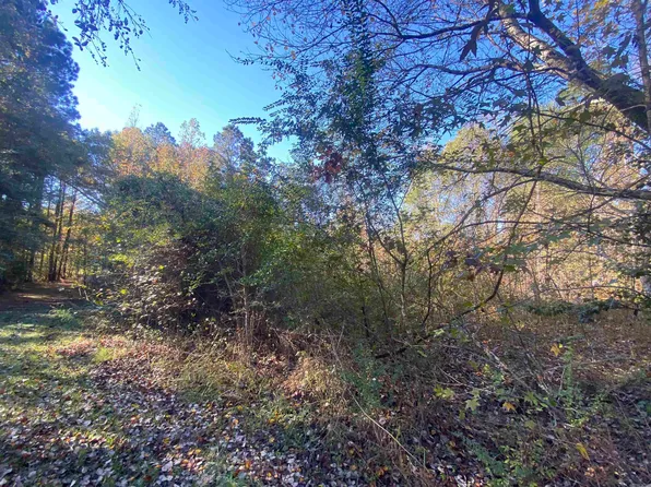 Lots 90 94 Grant #49, Sheridan, AR 72150