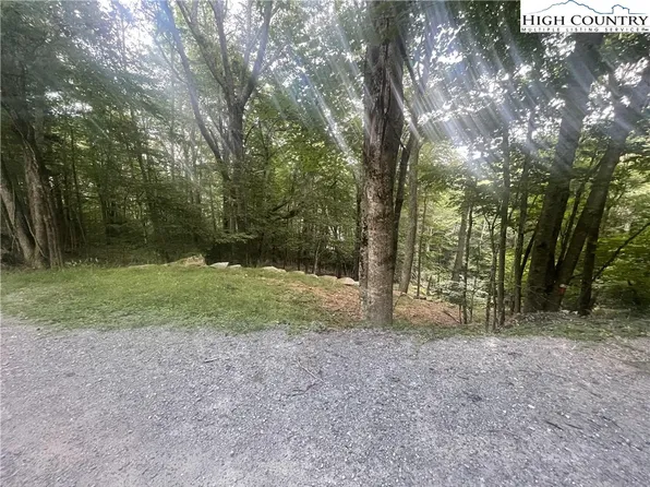 118 E Blueberry Lane, Beech Mountain, NC 28604