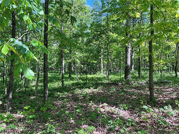 4th image of 316AC S Pleasant Valley Rd