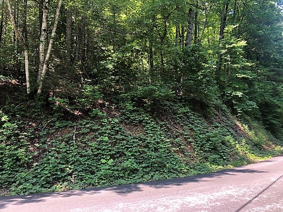 4th image of 4 Black Walnut Flats Rd Lot 4
