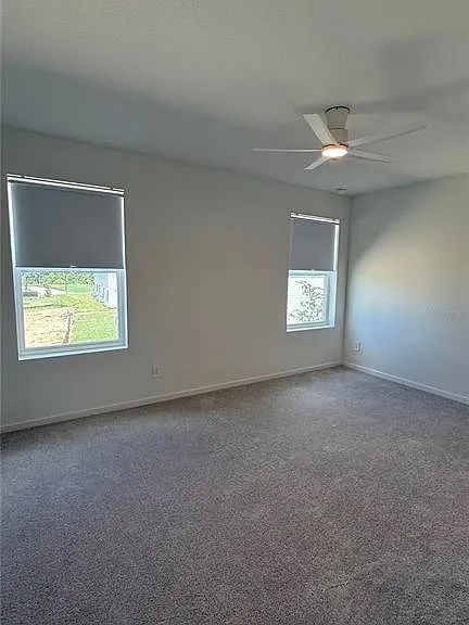 831 Lynx — Photo 12