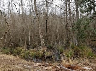 0 Pynes Community, Green Pond, SC 29446