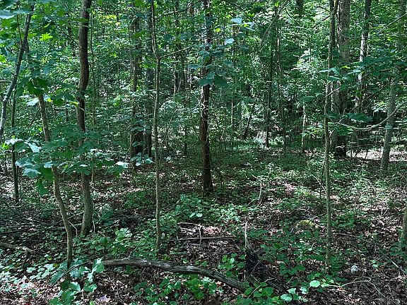 4th image of 0 View St