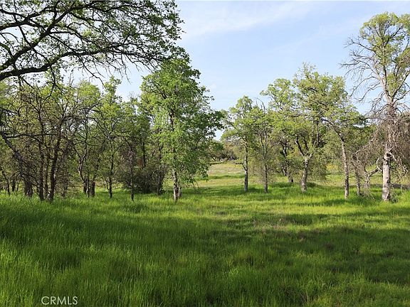 5th image of 0 Douglas Rd