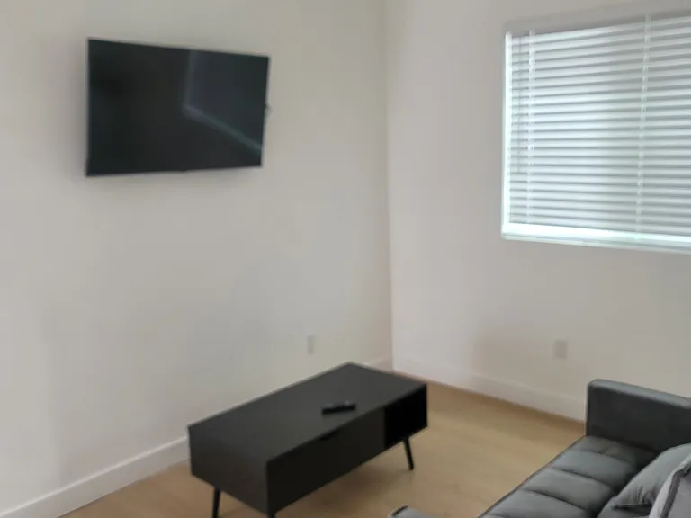 living room with mini split for cold and hot, tv mounted on wall, couch that opens into a small bed, coffee tabke with storage space