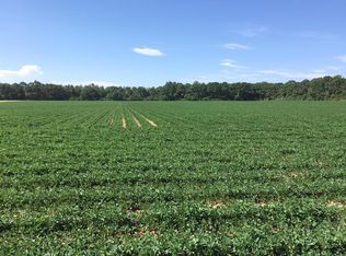 0 Daniel Johnson Rd, Baker, FL 32531