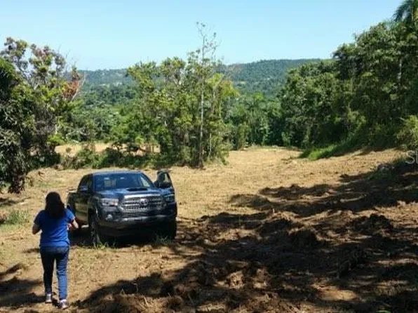 Bo Jimenez Carr 966 Km 2.8 Int, Rio Grande, PR 00745