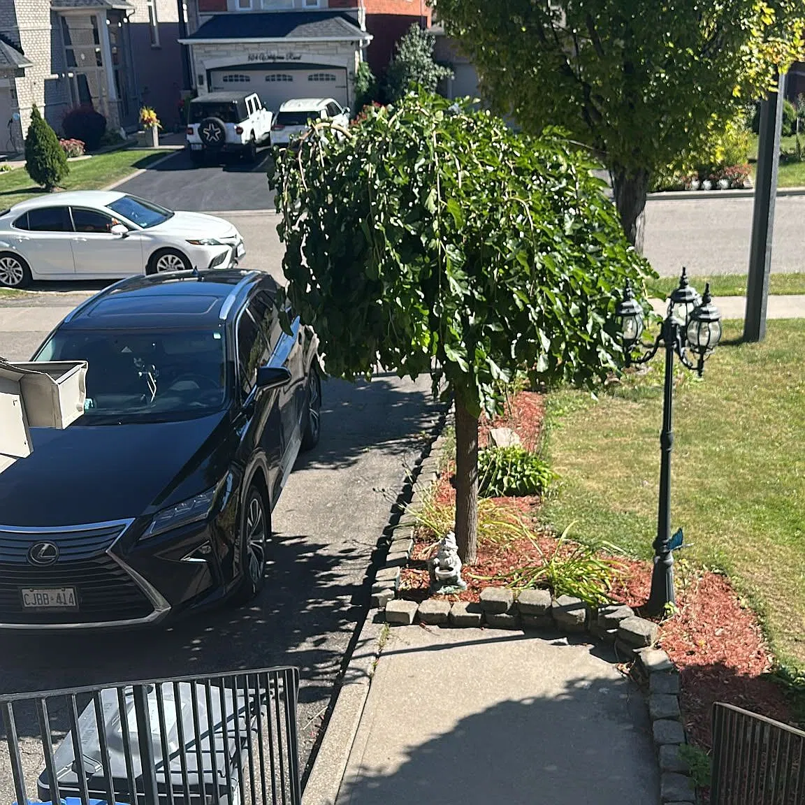 3 bed, $3,299 — Photo 2