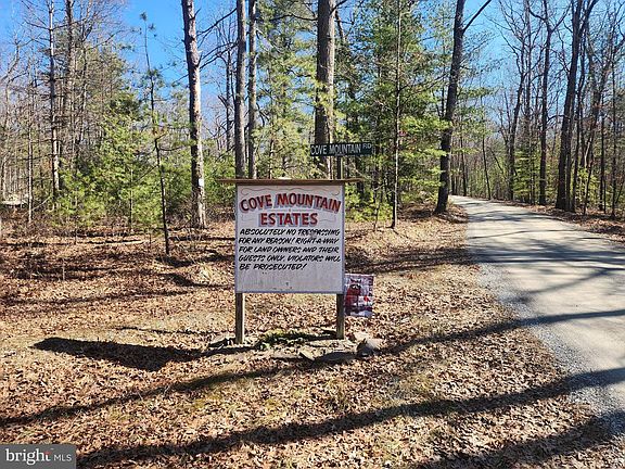 4th image of 1080 Cove Mountain Rd