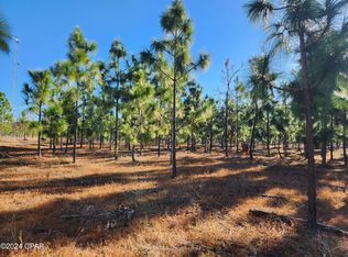 Xx Big Creek Rd, Hosford, FL 32334