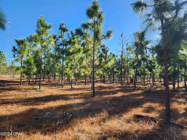 Xx Big Creek Rd, Hosford, FL 32334