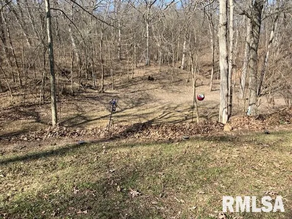 0 Boy Scout Trl, Petersburg, IL 62675