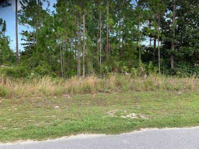 119 Palm Breeze Way, Pt Saint Joe, FL, 32456