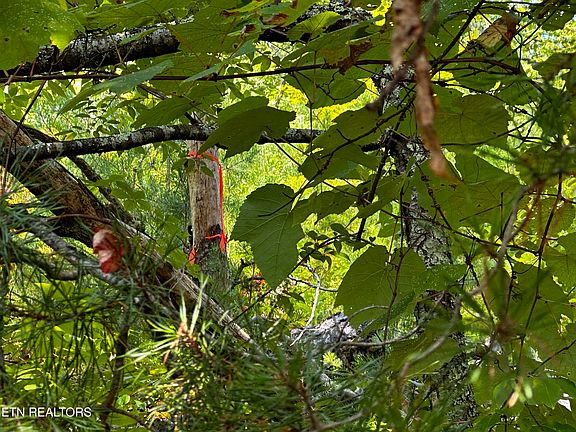 5th image of Huckleberry Way