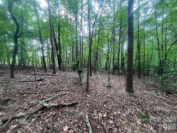 4th image of Moore Branch Rd