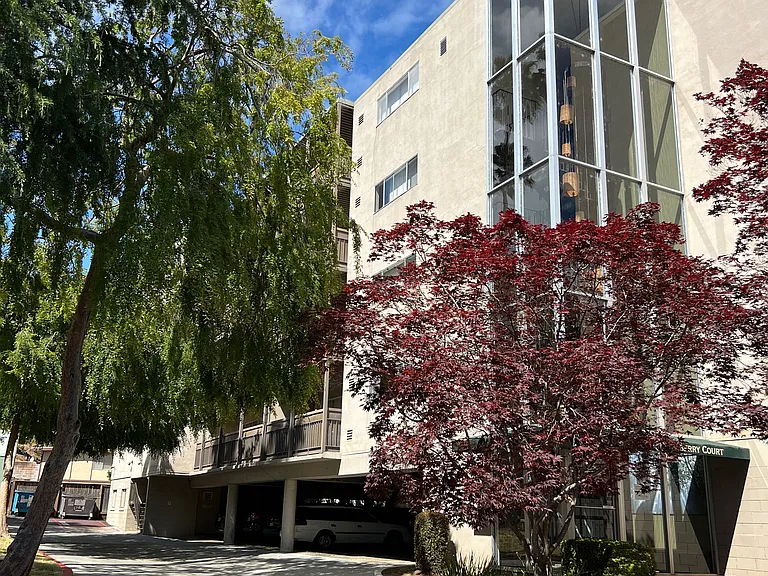 10 Mulberry Court — Photo 8