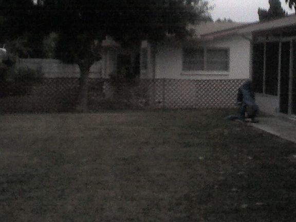 large back yard