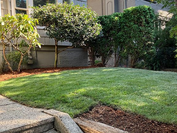 front yard