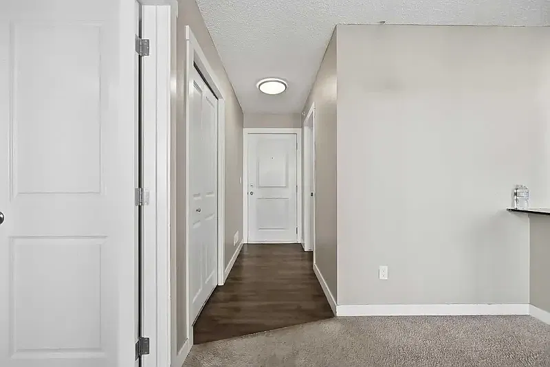 2 bed, 1.0 bath, $1,900 — Photo 3