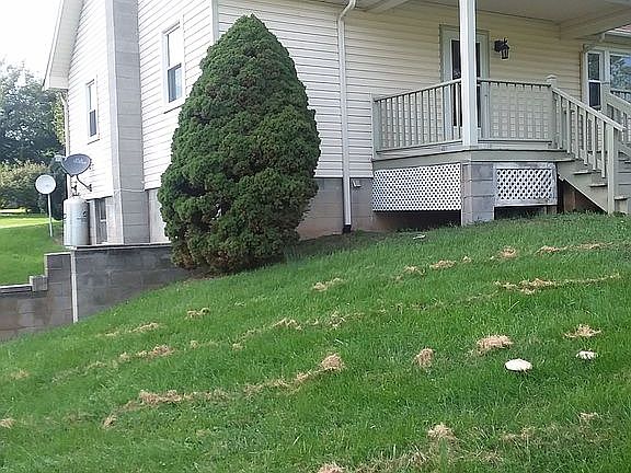 front of house and basement entry