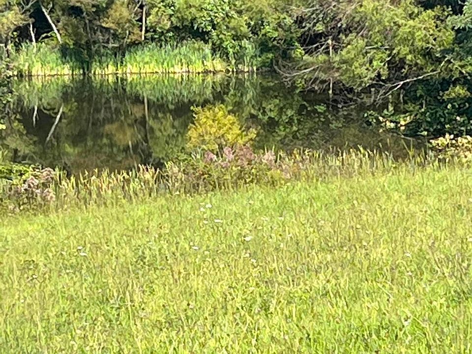 2nd image of 0 Patch Rd