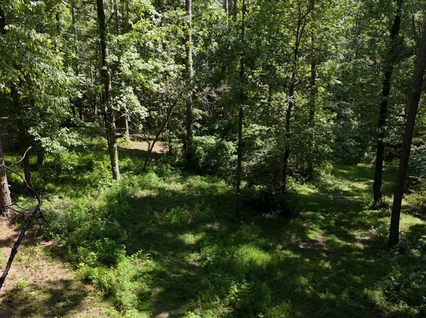LOT 115 101/pa Shoal Creek Dr, Sharpsburg, GA 30277