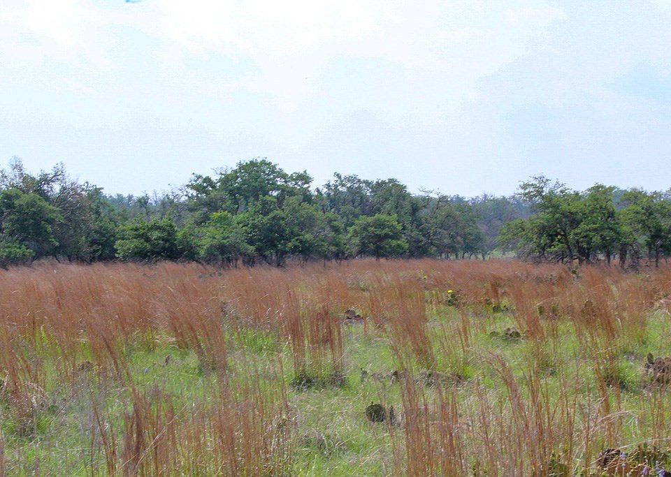 2nd image of 131 Lipan Loop