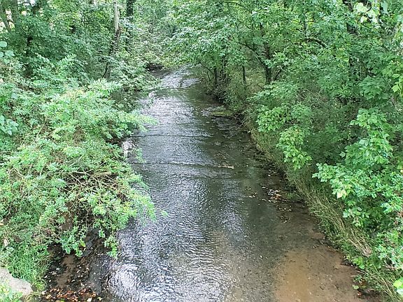 2nd image of 0 Bankshire Rd