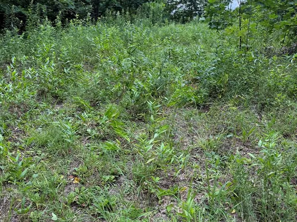 0 Outlook Rd, Murphy, NC 28906