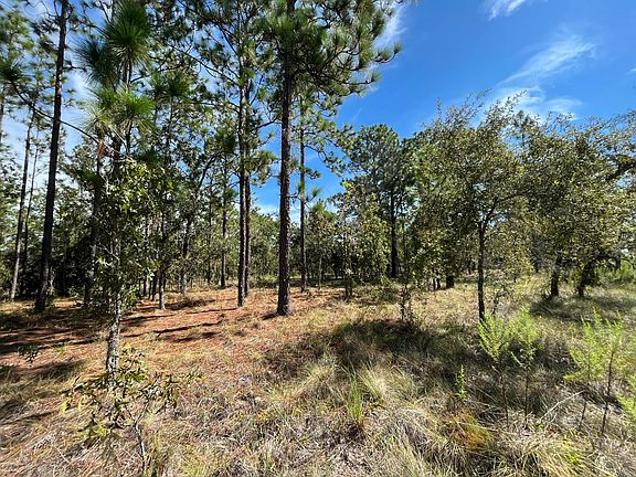 4th image of Tbd NW Amberjack Avenue