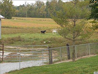 3rd image of 7231 N Us Highway 31