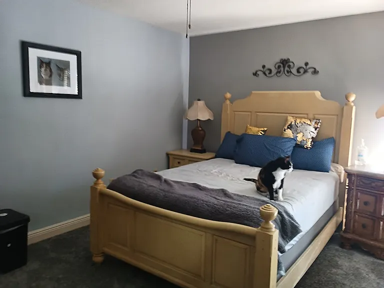 110 Colony South Dr — Photo 7