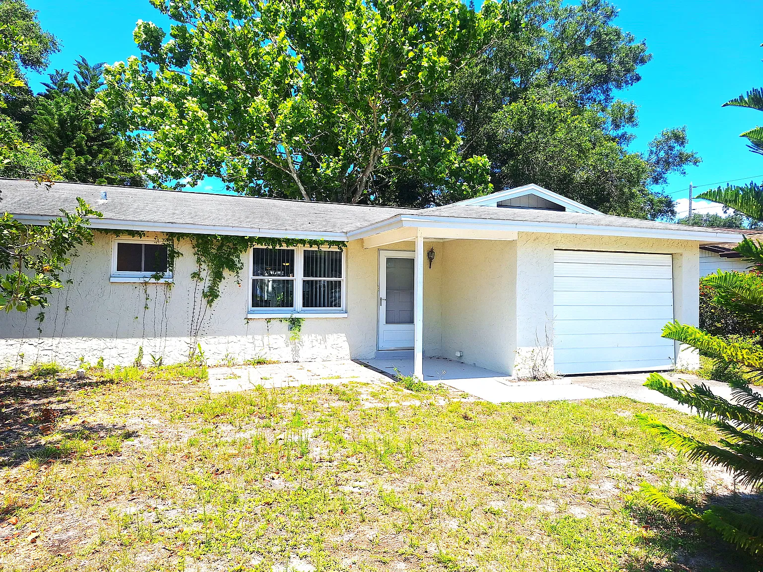 3 bed, 1597 sqft, $2,600 — Photo 1