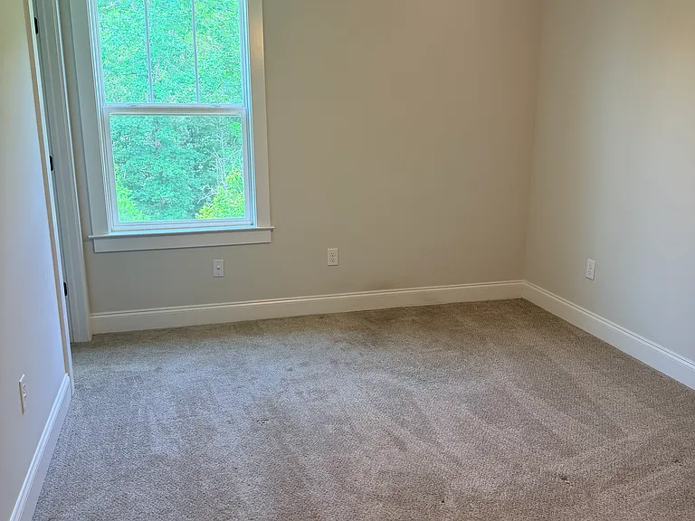 432 Live Oak Dr — Photo 24