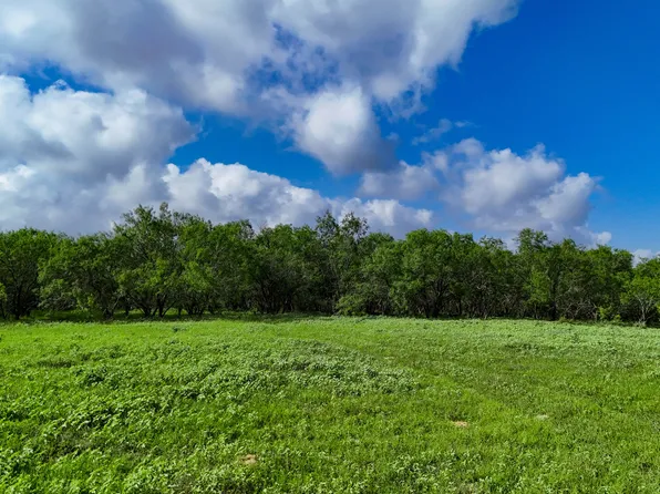 11550 - TRACT C FM 466, Seguin, TX 78155