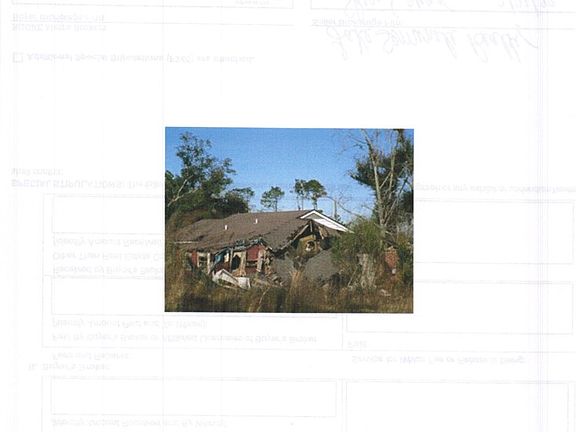 3rd image of 7847 Paradise Dr
