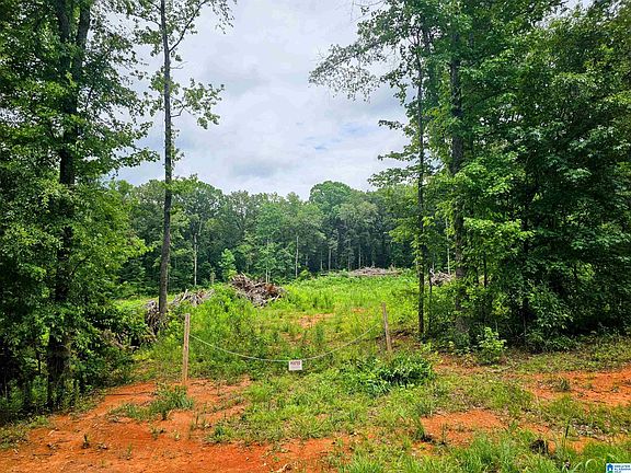 5th image of 1215 County Road 77 #4