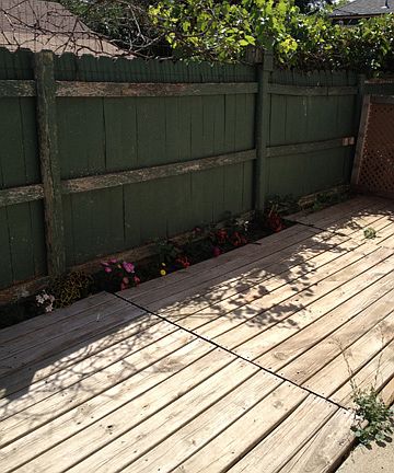 Back area