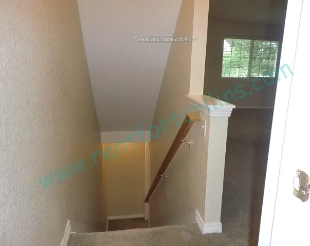 1003 Andrews Peak Dr #102 — Photo 10