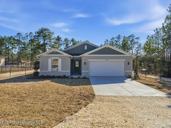 12196 Snow Goose Ave, Weeki Wachee, FL 34614