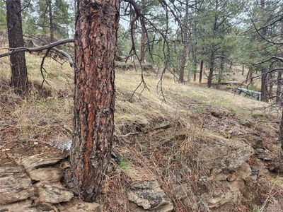 000 Forest Hill Road, Evergreen, CO, 80439