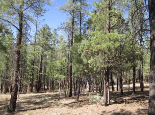 4701 Corral Way, Happy Jack, AZ 86024