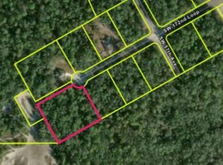 5591 SW 172nd Loop, Ocala, FL 34473