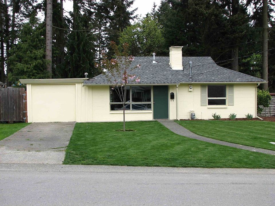 Front of house - young cherry tree