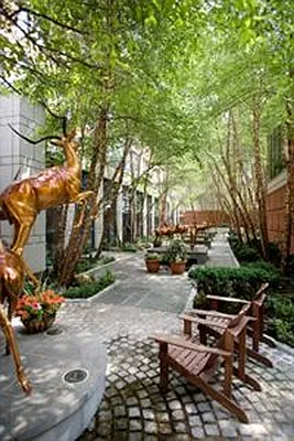 Sold by Douglas Elliman | media 5