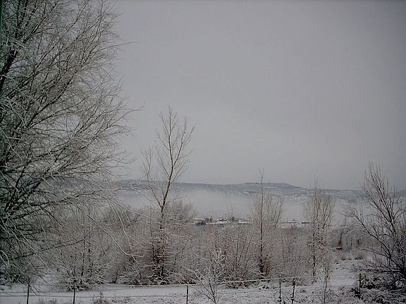 view from front door