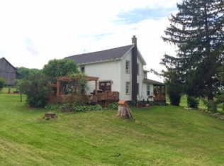 577 Sabin Rd, Spencer, NY 14883