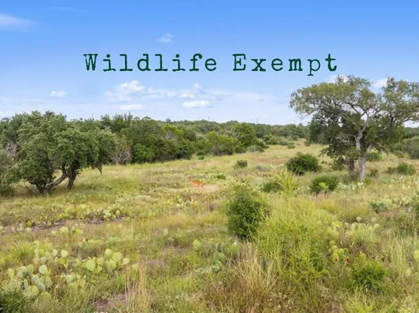 LOT 40 W Ranch Rd #962, Round Mountain, TX 78663