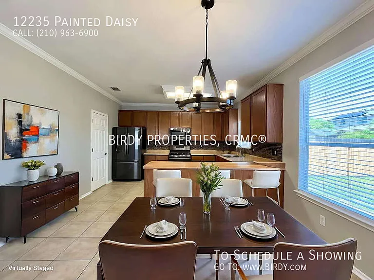 12235 Painted Daisy — Photo 4