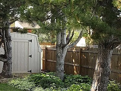 Back Shed